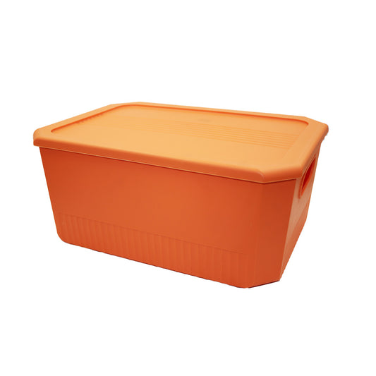 Storage Container 37X27X15 With Lid