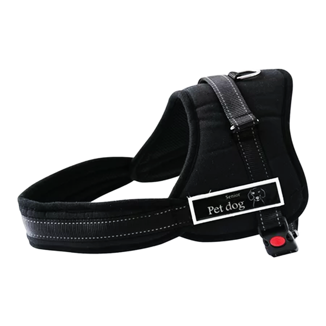 Senior pet dog 2024 harness