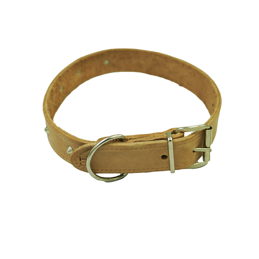 Dog Collar No 10 3Mm X 700Mm