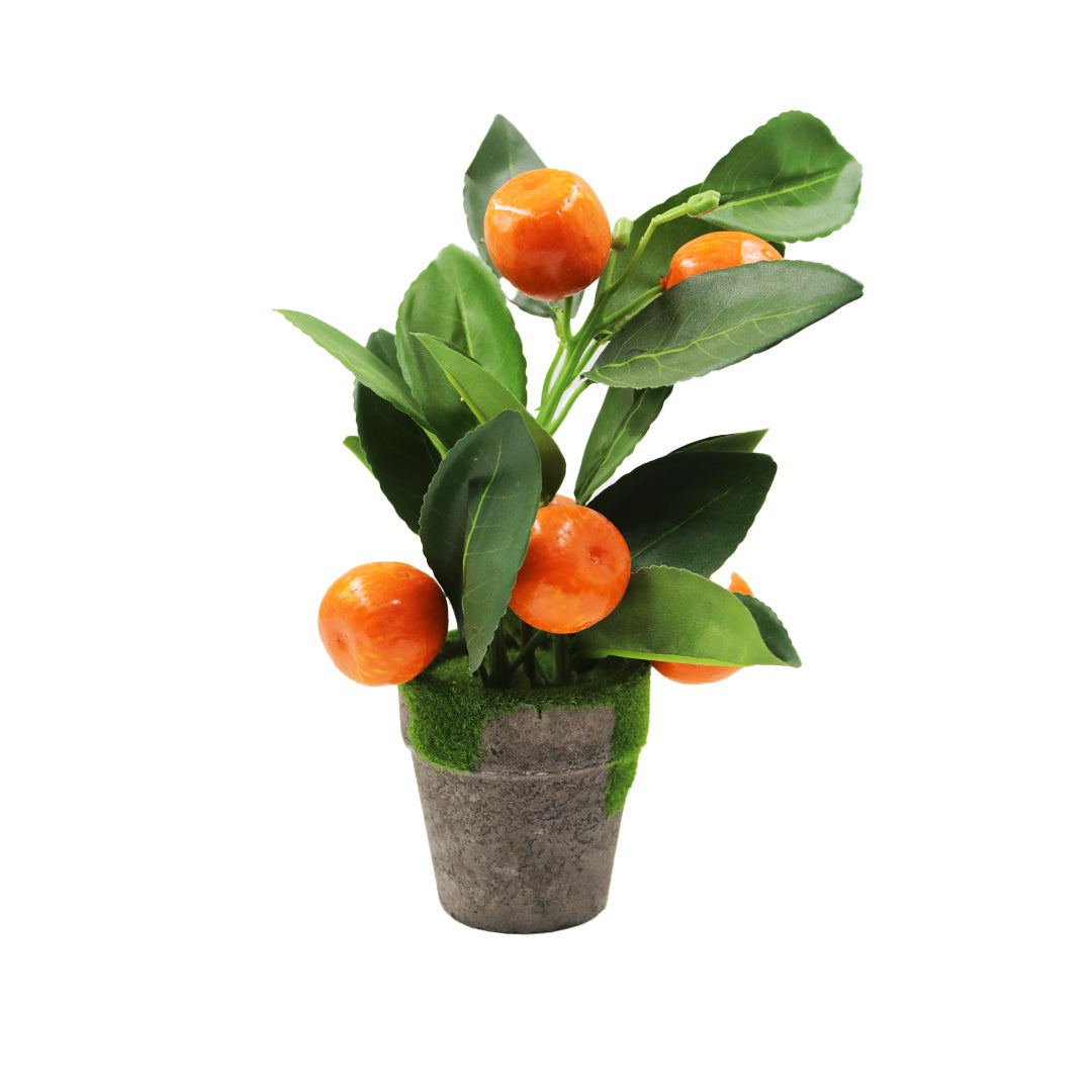 Fruit Plant In Pot Ceramic 7Cm