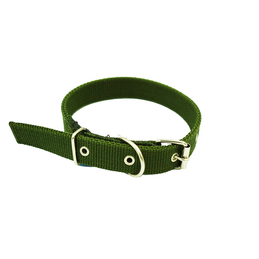 Dog Collar Single  Layer 2.5X60Cm
