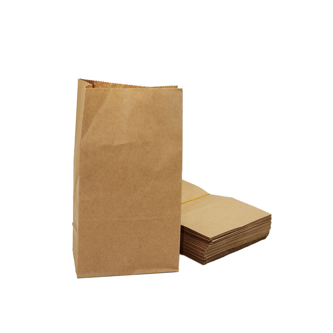 Paper Bag 50Pc 30X16Cm Brown