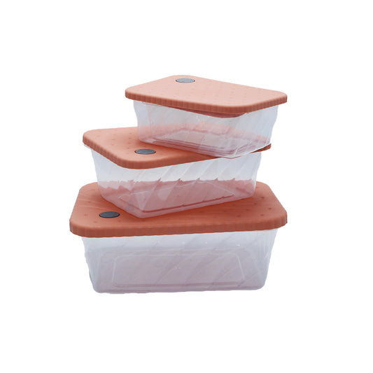 Container 4Pc 23X17X8.5Cm Lunch Box