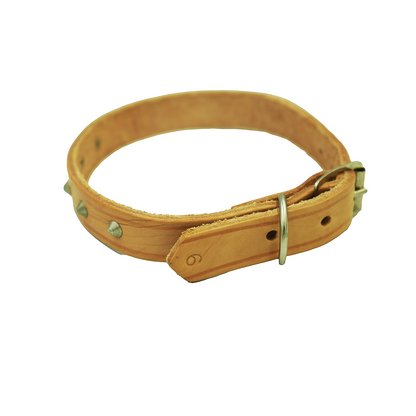 Dog Collar No.6  25Mmx500Mm