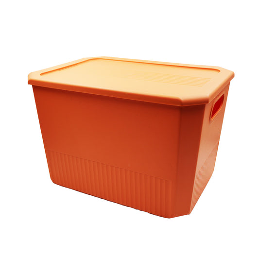 Storage Container 37X27X23 With Lid