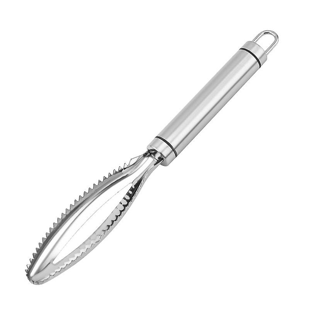 Fish Scaler 22Cm Stainless Steel  Proff Gift Box