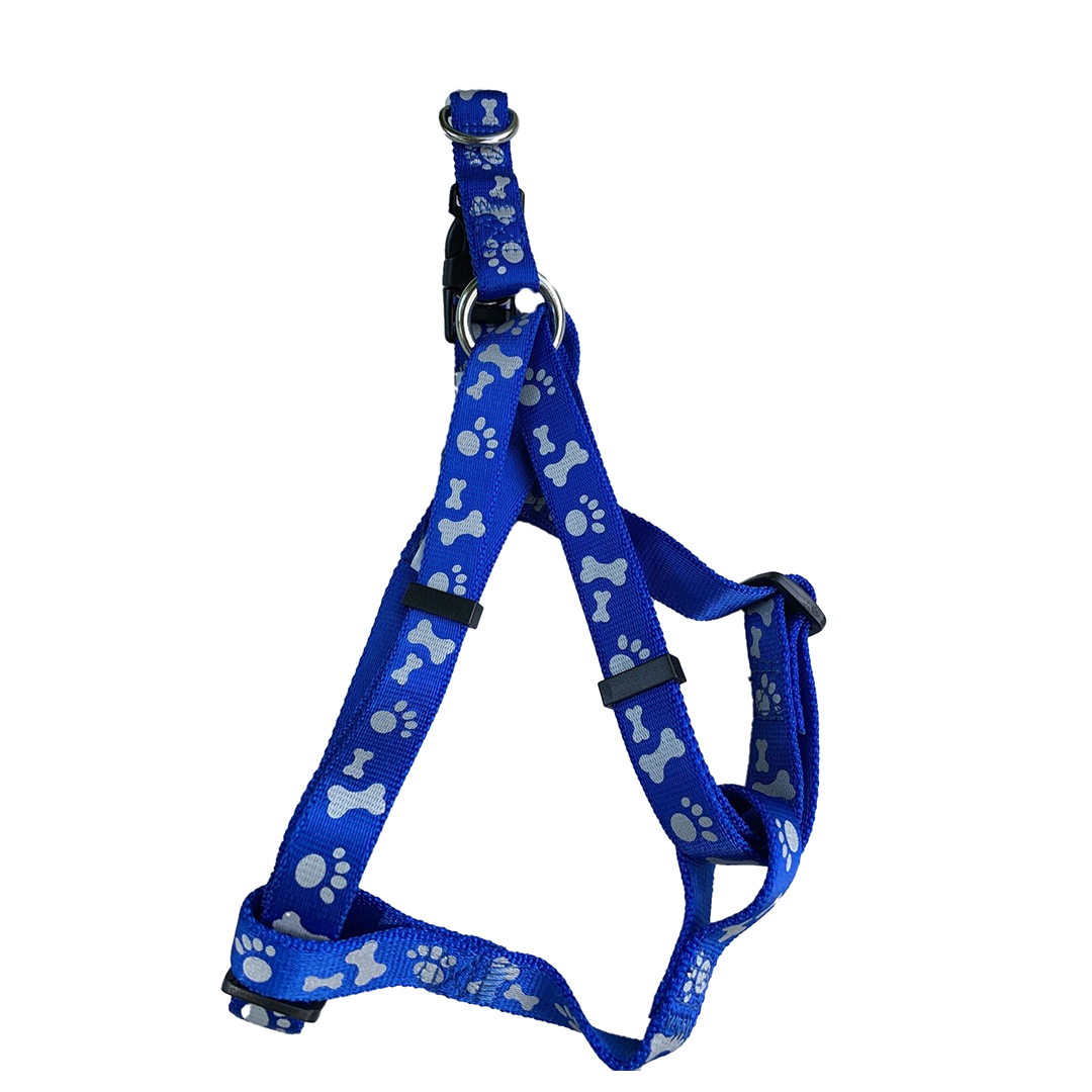 Dog Lead & Harness 1.2Mx1.5Cm