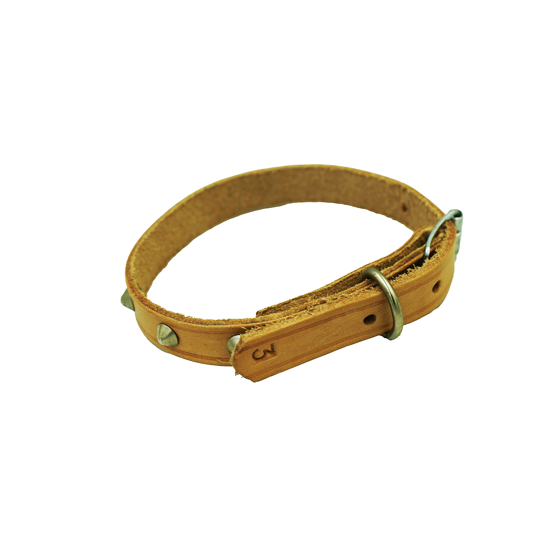 Dog Collar No 3 16Mmx400Mm