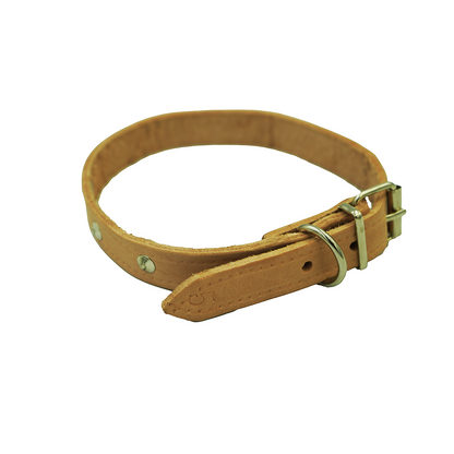 Dog Collar No.5 Abs