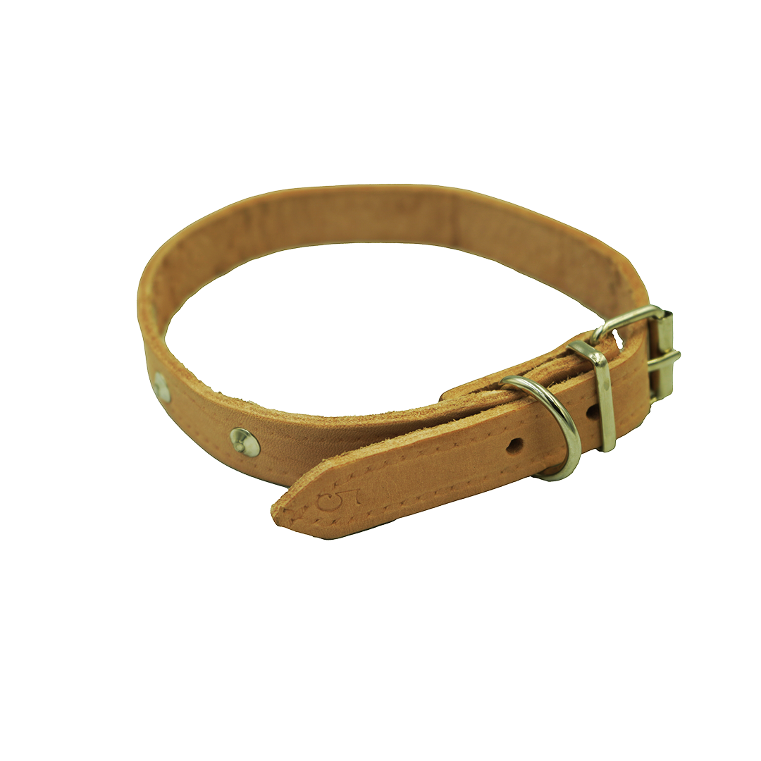 Dog Collar No.5 Abs