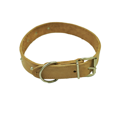 Dog Collar No 10 32Mmx700Mm