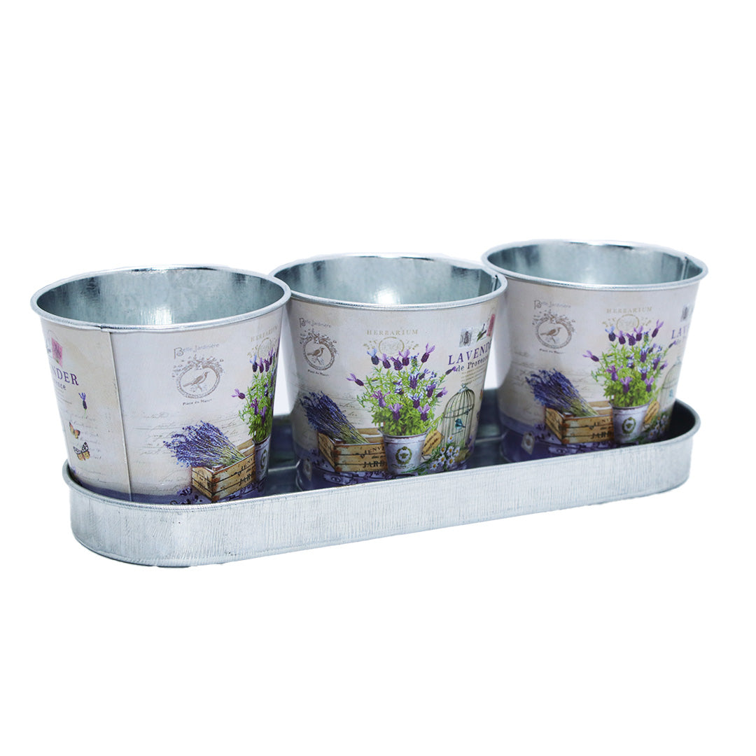 Tin Flower Pot 3Pc With Tray Printed 6X6.5Cm