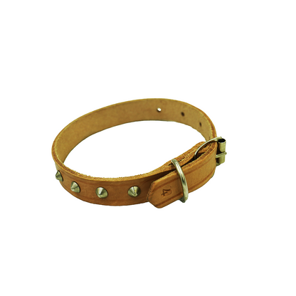 Dog Collar No 4 19Mmx450Mm