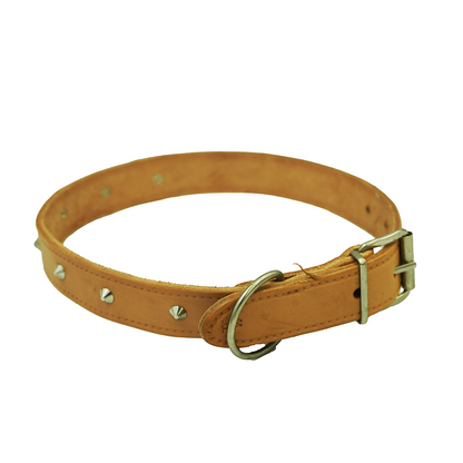 Dog Collar No 11 35Mmx750Mm