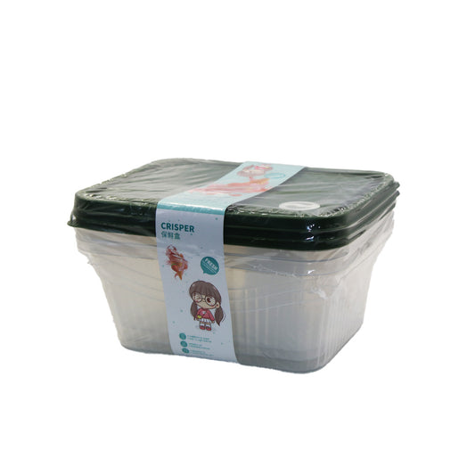 Container 3Pc 28X19X10Cm With Lid Crisper