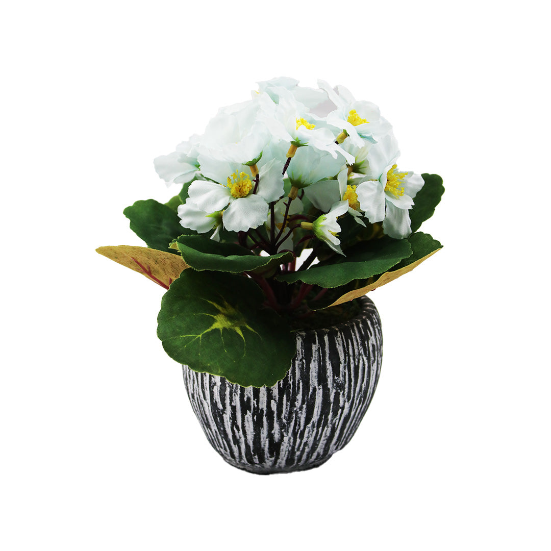 Pot Plant In Pot 8/22Cm Flower Porcelain   Pot