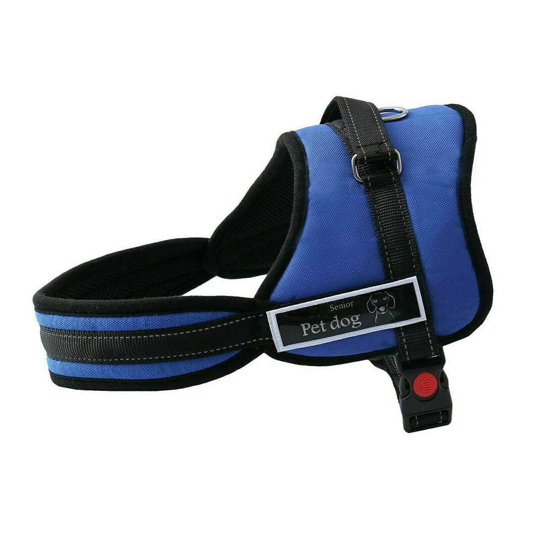 Dog Harness Xxl